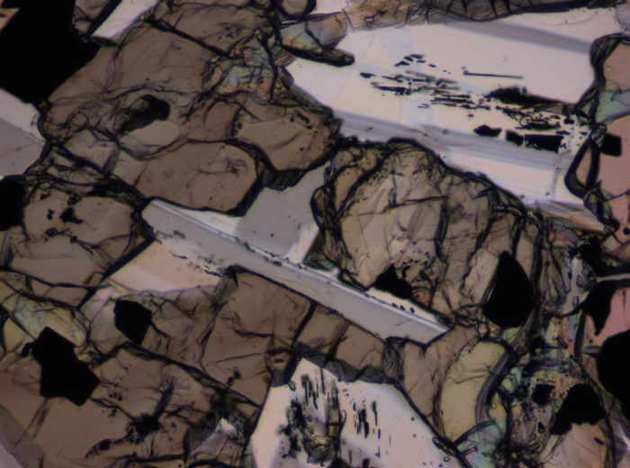 Thin Section Photograph of Apollo 12 Sample 12016,14 in Plane-Polarized Light at 10x Magnification and 0.7 mm Field of View (View #5)