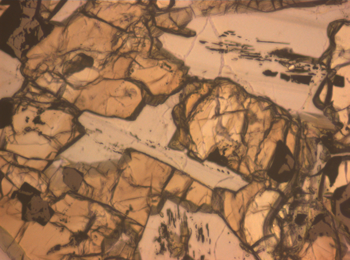 Thin Section Photograph of Apollo 12 Sample 12016,14 in Reflected Light at 10x Magnification and 0.7 mm Field of View (View #5)