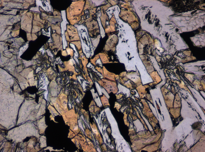 Thin Section Photograph of Apollo 12 Sample 12017,22 in Plane-Polarized Light at 10x Magnification and 0.7 mm Field of View (View #1)