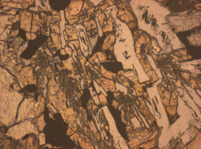 Thin Section Photograph of Apollo 12 Sample 12017,22 in Reflected Light at 10x Magnification and 0.7 mm Field of View (View #1)