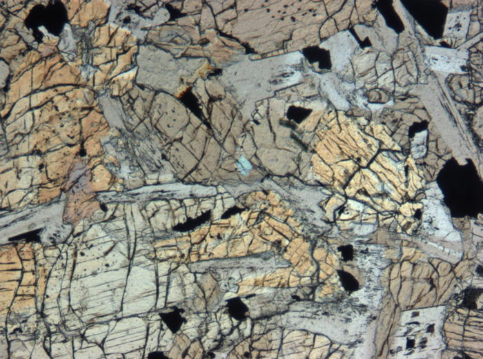 Thin Section Photograph of Apollo 12 Sample 12018,6 in Plane-Polarized Light at 5x Magnification and 1.4 mm Field of View (View #3)