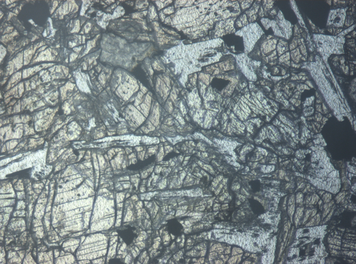 Thin Section Photograph of Apollo 12 Sample 12018,6 in Reflected Light at 5x Magnification and 1.4 mm Field of View (View #3)