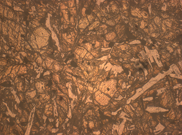 Thin Section Photograph of Apollo 12 Sample 12020,8 in Reflected Light at 2.5x Magnification and 2.85 mm Field of View (View #1)