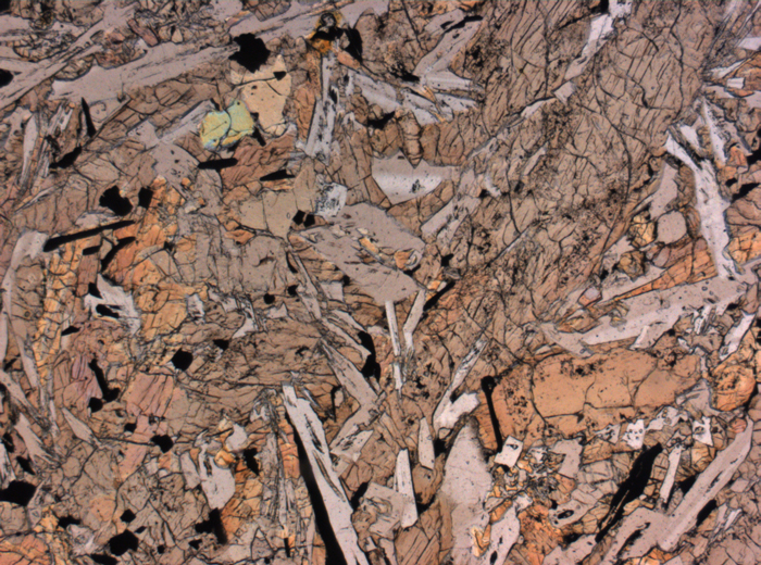Thin Section Photograph of Apollo 12 Sample 12020,8 in Plane-Polarized Light at 2.5x Magnification and 2.85 mm Field of View (View #3)