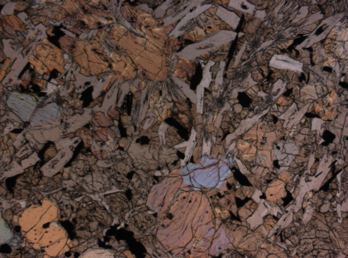 Thin Section Photograph of Apollo 12 Sample 12020,8 in Plane-Polarized Light at 2.5x Magnification and 2.85 mm Field of View (View #4)