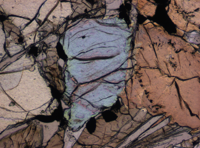 Thin Section Photograph of Apollo 12 Sample 12020,8 in Plane-Polarized Light at 10x Magnification and 0.7 mm Field of View (View #5)
