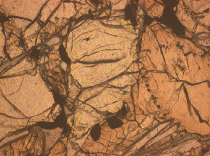 Thin Section Photograph of Apollo 12 Sample 12020,8 in Reflected Light at 10x Magnification and 0.7 mm Field of View (View #5)