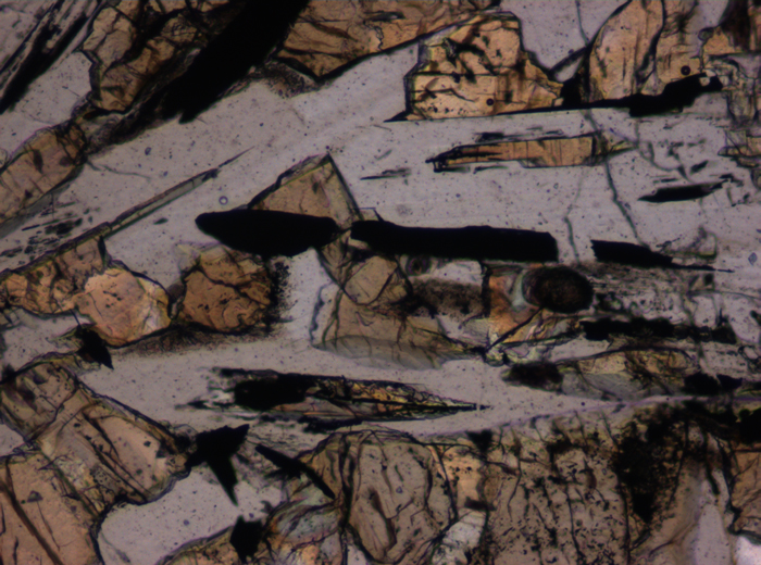 Thin Section Photograph of Apollo 12 Sample 12020,8 in Plane-Polarized Light at 10x Magnification and 0.7 mm Field of View (View #6)