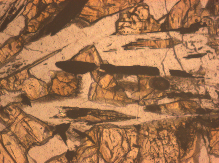 Thin Section Photograph of Apollo 12 Sample 12020,8 in Reflected Light at 10x Magnification and 0.7 mm Field of View (View #6)