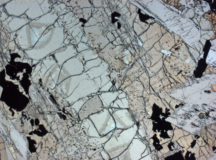 Thin Section Photograph of Apollo 12 Sample 12021,2 in Plane-Polarized Light at 2.5x Magnification and 2.85 mm Field of View (View #2)