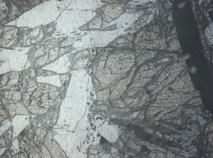 Thin Section Photograph of Apollo 12 Sample 12021,2 in Reflected Light at 5x Magnification and 1.4 mm Field of View (View #3)