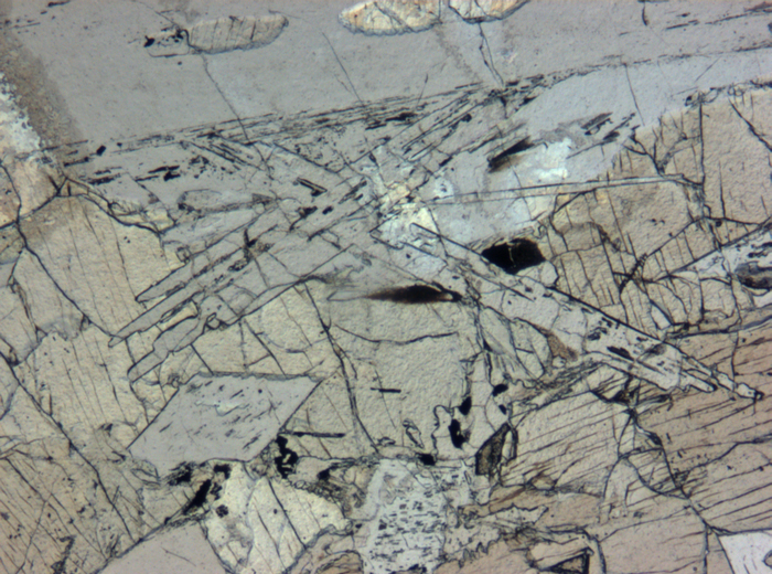 Thin Section Photograph of Apollo 12 Sample 12021,2 in Plane-Polarized Light at 5x Magnification and 1.4 mm Field of View (View #4)
