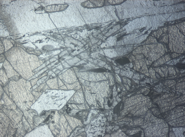 Thin Section Photograph of Apollo 12 Sample 12021,2 in Reflected Light at 5x Magnification and 1.4 mm Field of View (View #4)