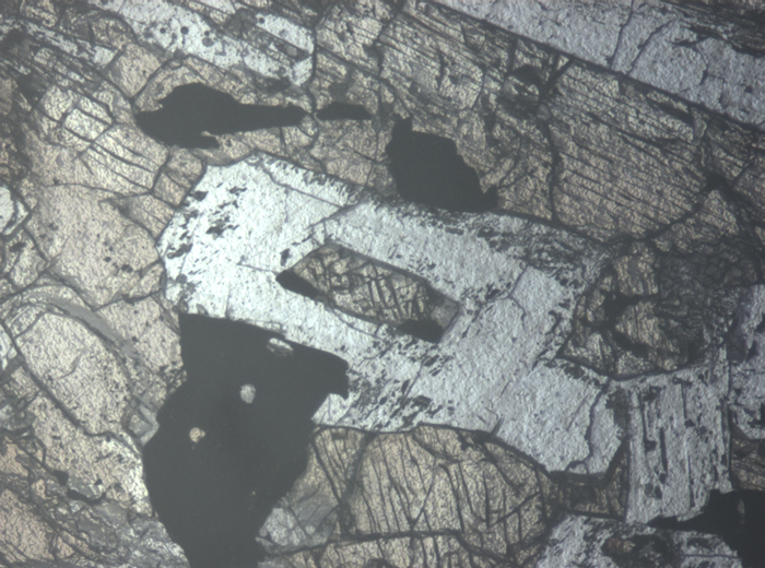 Thin Section Photograph of Apollo 12 Sample 12021,2 in Reflected Light at 5x Magnification and 1.4 mm Field of View (View #5)