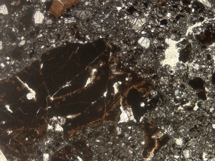Thin Section Photograph of Apollo 12 Sample 12034,32 in Plane-Polarized Light at 5x Magnification and 2.3 mm Field of View (View #2)
