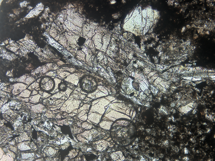 Thin Section Photograph of Apollo 12 Sample 12034,32 in Plane-Polarized Light at 10x Magnification and 1.15 mm Field of View (View #3)