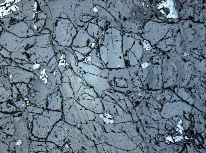 Thin Section Photograph of Apollo 12 Sample 12036,8 in Reflected Light at 2.5x Magnification and 2.85 mm Field of View (View #1)