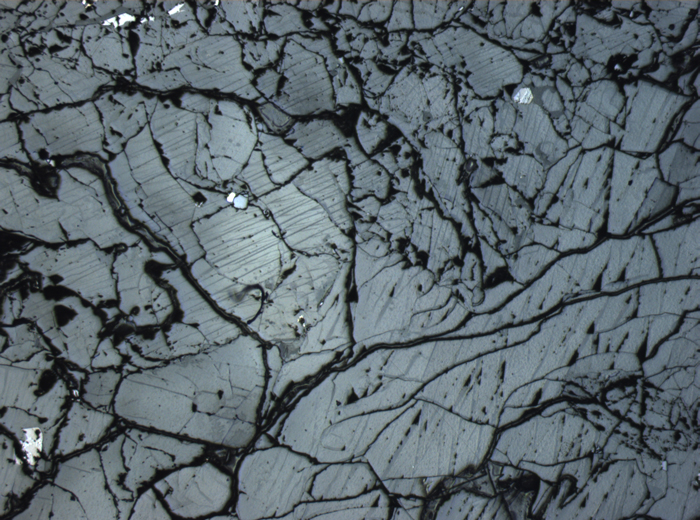 Thin Section Photograph of Apollo 12 Sample 12036,8 in Reflected Light at 2.5x Magnification and 2.85 mm Field of View (View #3)