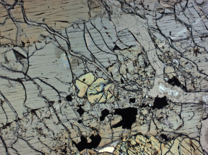 Thin Section Photograph of Apollo 12 Sample 12036,8 in Plane-Polarized Light at 2.5x Magnification and 2.85 mm Field of View (View #4)