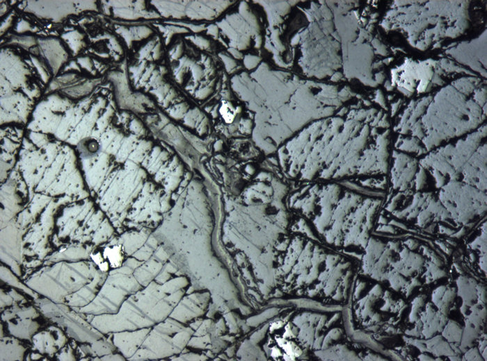Thin Section Photograph of Apollo 12 Sample 12036,8 in Reflected Light at 5x Magnification and 1.4 mm Field of View (View #7)