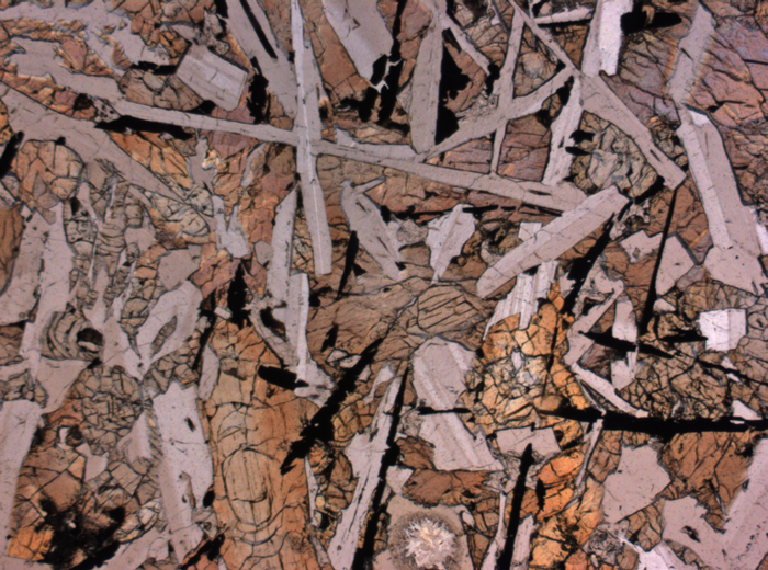 Thin Section Photograph of Apollo 12 Sample 12038,64 in Plane-Polarized Light at 2.5x Magnification and 2.85 mm Field of View (View #2)