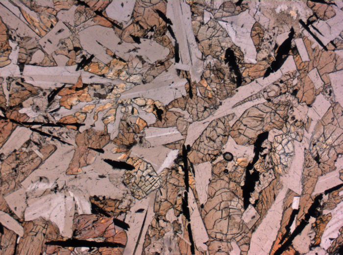 Thin Section Photograph of Apollo 12 Sample 12038,64 in Plane-Polarized Light at 2.5x Magnification and 2.85 mm Field of View (View #3)