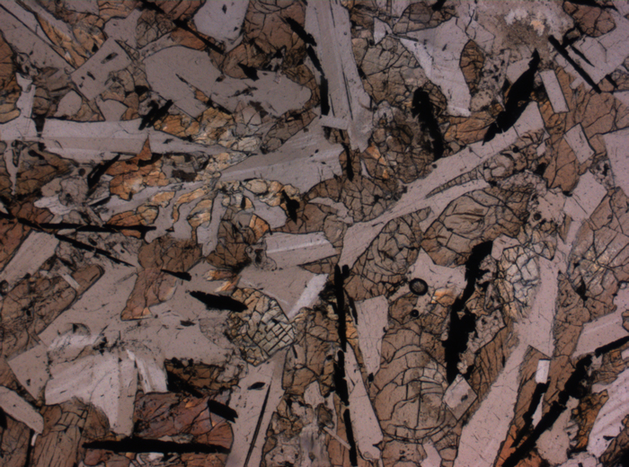 Thin Section Photograph of Apollo 12 Sample 12038,64 in Plane-Polarized Light at 2.5x Magnification and 2.85 mm Field of View (View #3)