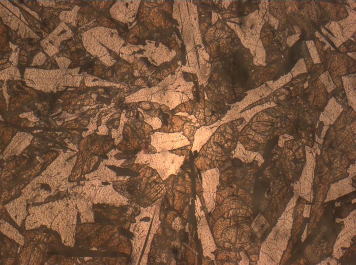 Thin Section Photograph of Apollo 12 Sample 12038,64 in Reflected Light at 2.5x Magnification and 2.85 mm Field of View (View #3)