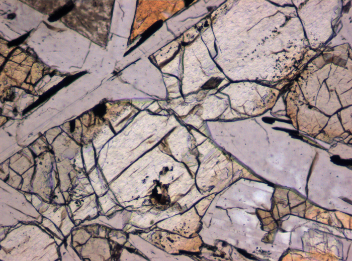 Thin Section Photograph of Apollo 12 Sample 12038,64 in Plane-Polarized Light at 10x Magnification and 0.7 mm Field of View (View #4)