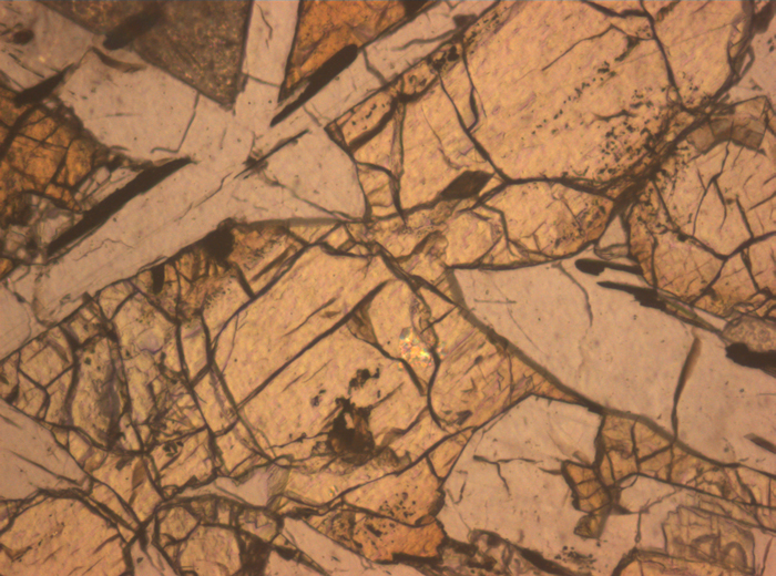 Thin Section Photograph of Apollo 12 Sample 12038,64 in Reflected Light at 10x Magnification and 0.7 mm Field of View (View #4)
