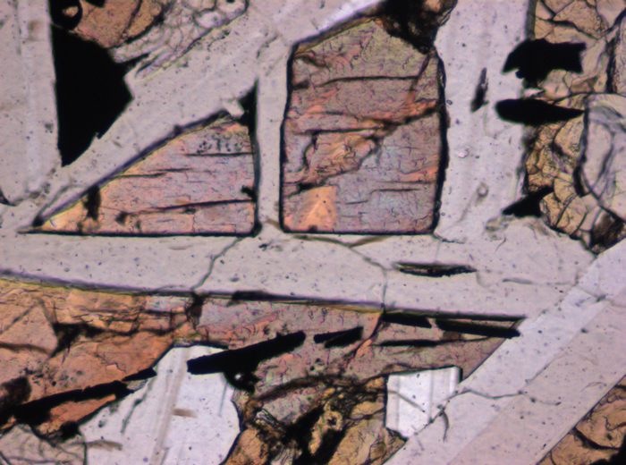 Thin Section Photograph of Apollo 12 Sample 12038,64 in Plane-Polarized Light at 10x Magnification and 0.7 mm Field of View (View #5)