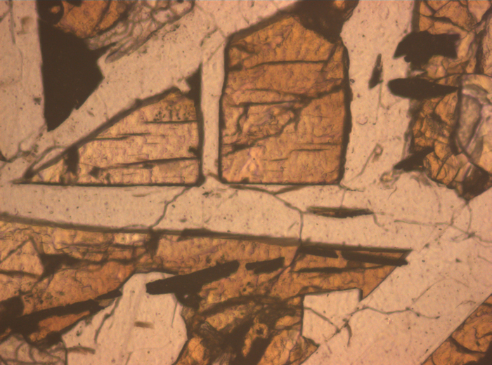 Thin Section Photograph of Apollo 12 Sample 12038,64 in Reflected Light at 10x Magnification and 0.7 mm Field of View (View #5)
