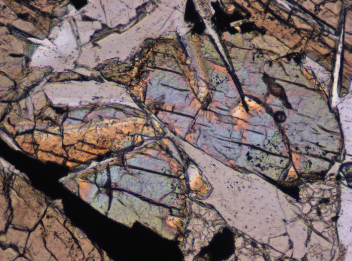 Thin Section Photograph of Apollo 12 Sample 12046,5 in Plane-Polarized Light at 10x Magnification and 0.7 mm Field of View (View #3)