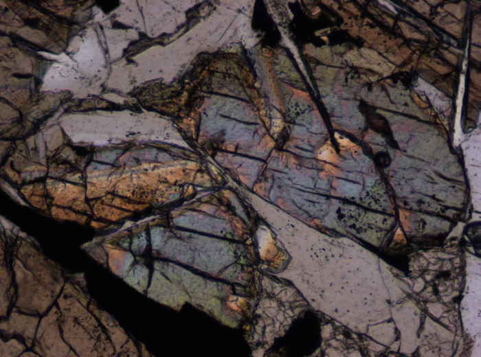 Thin Section Photograph of Apollo 12 Sample 12046,5 in Plane-Polarized Light at 10x Magnification and 0.7 mm Field of View (View #3)