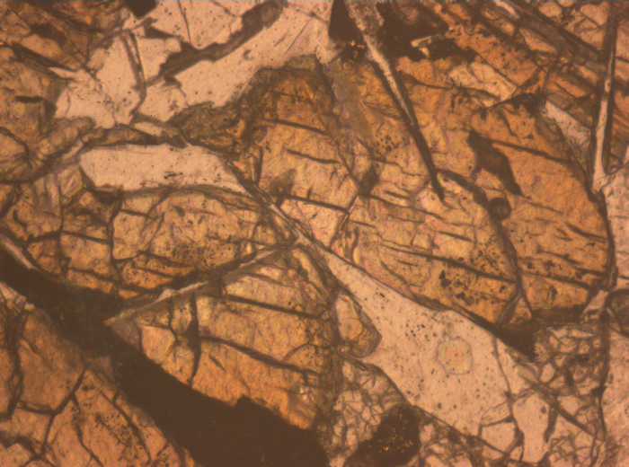 Thin Section Photograph of Apollo 12 Sample 12046,5 in Reflected Light at 10x Magnification and 0.7 mm Field of View (View #3)
