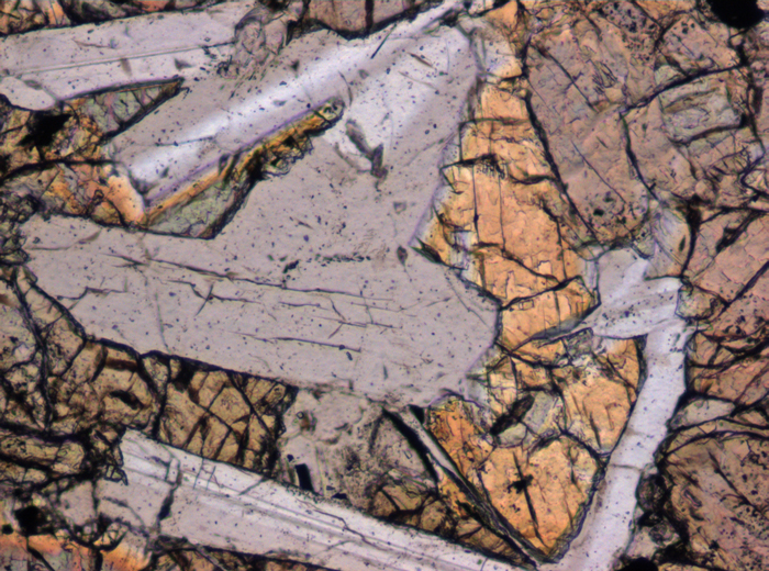 Thin Section Photograph of Apollo 12 Sample 12046,5 in Plane-Polarized Light at 10x Magnification and 0.7 mm Field of View (View #4)