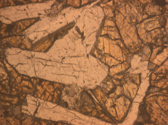 Thin Section Photograph of Apollo 12 Sample 12046,5 in Reflected Light at 10x Magnification and 0.7 mm Field of View (View #4)