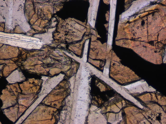 Thin Section Photograph of Apollo 12 Sample 12047,8 in Plane-Polarized Light at 10x Magnification and 0.7 mm Field of View (View #3)