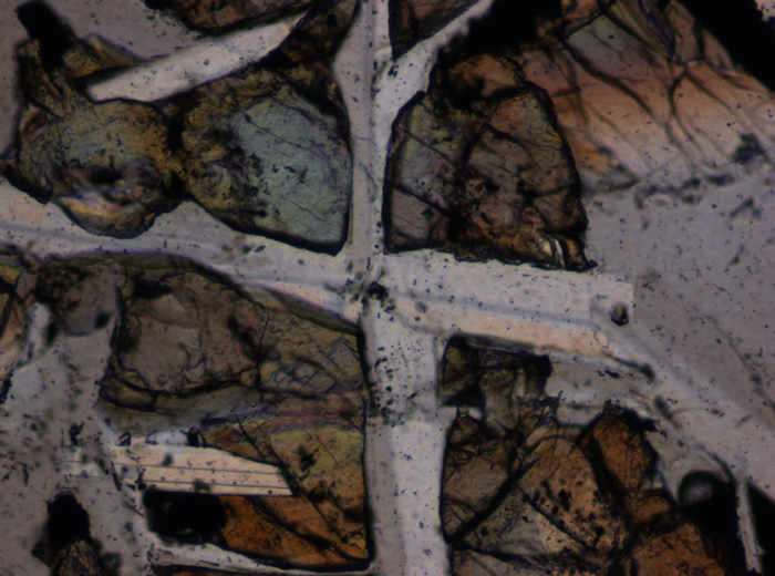 Thin Section Photograph of Apollo 12 Sample 12047,8 in Plane-Polarized Light at 10x Magnification and 0.7 mm Field of View (View #4)