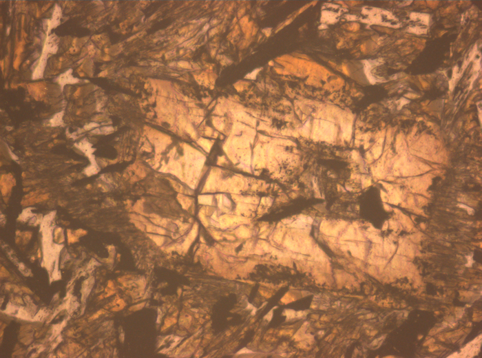 Thin Section Photograph of Apollo 12 Sample 12052,7 in Reflected Light at 10x Magnification and 0.7 mm Field of View (View #3)
