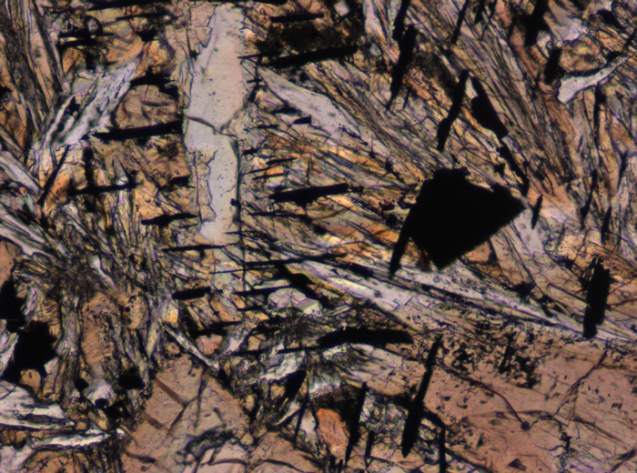 Thin Section Photograph of Apollo 12 Sample 12052,7 in Plane-Polarized Light at 10x Magnification and 0.7 mm Field of View (View #4)