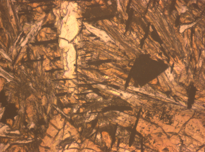 Thin Section Photograph of Apollo 12 Sample 12052,7 in Reflected Light at 10x Magnification and 0.7 mm Field of View (View #4)