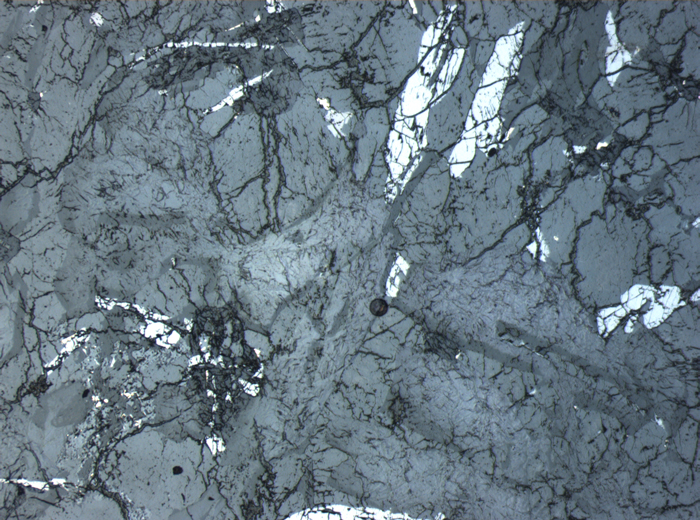 Thin Section Photograph of Apollo 12 Sample 12054,78 in Reflected Light at 2.5x Magnification and 2.85 mm Field of View (View #1)
