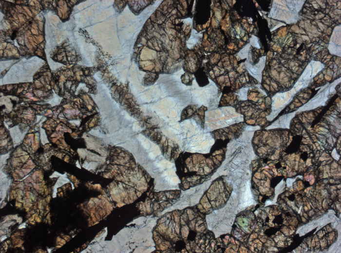 Thin Section Photograph of Apollo 12 Sample 12054,78 in Plane-Polarized Light at 2.5x Magnification and 2.85 mm Field of View (View #2)