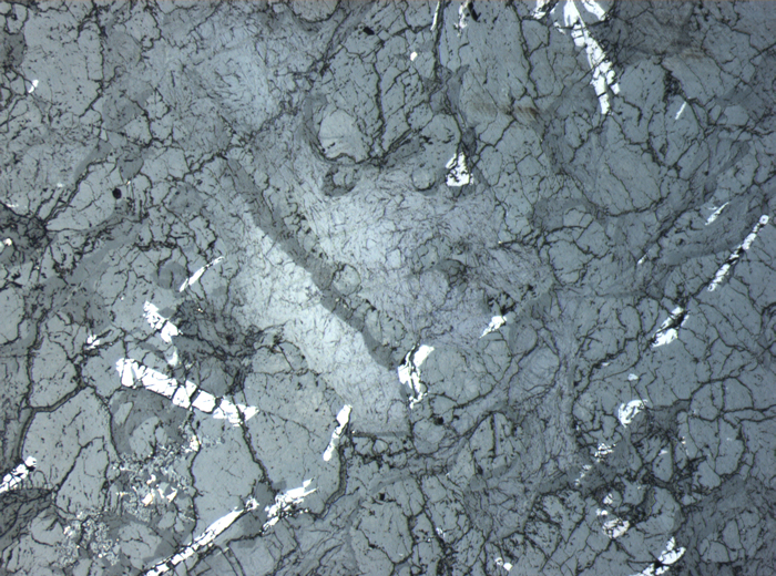 Thin Section Photograph of Apollo 12 Sample 12054,78 in Reflected Light at 2.5x Magnification and 2.85 mm Field of View (View #2)