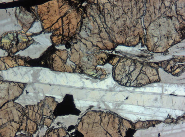 Thin Section Photograph of Apollo 12 Sample 12054,78 in Plane-Polarized Light at 5x Magnification and 1.4 mm Field of View (View #5)