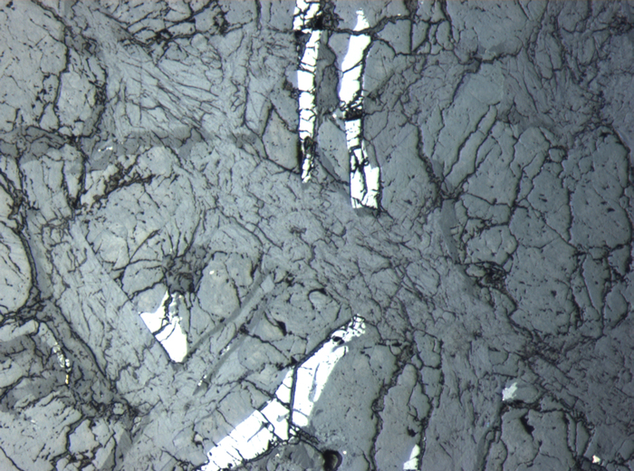 Thin Section Photograph of Apollo 12 Sample 12054,78 in Reflected Light at 5x Magnification and 1.4 mm Field of View (View #6)