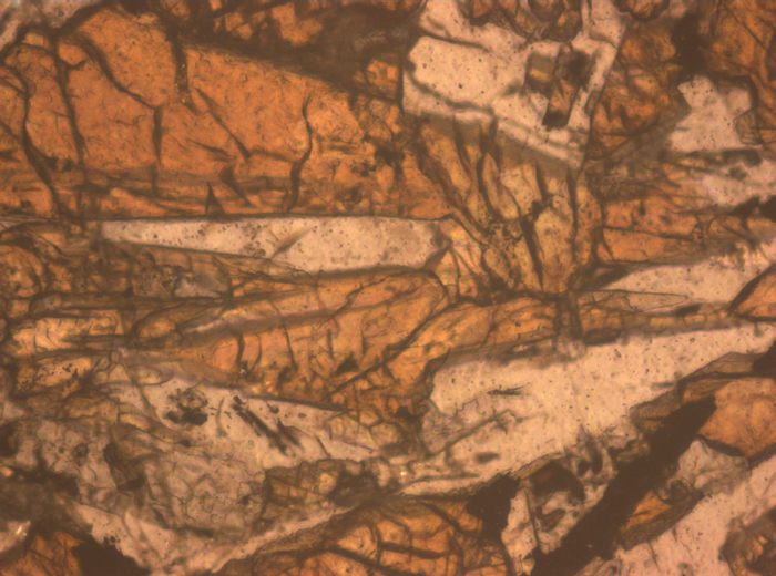 Thin Section Photograph of Apollo 12 Sample 12055,7 in Reflected Light at 10x Magnification and 0.7 mm Field of View (View #4)