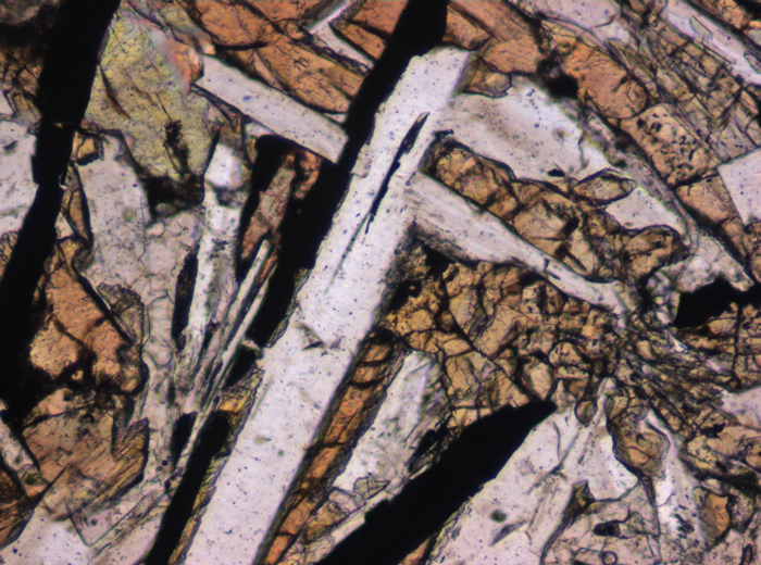 Thin Section Photograph of Apollo 12 Sample 12055,7 in Plane-Polarized Light at 10x Magnification and 0.7 mm Field of View (View #5)