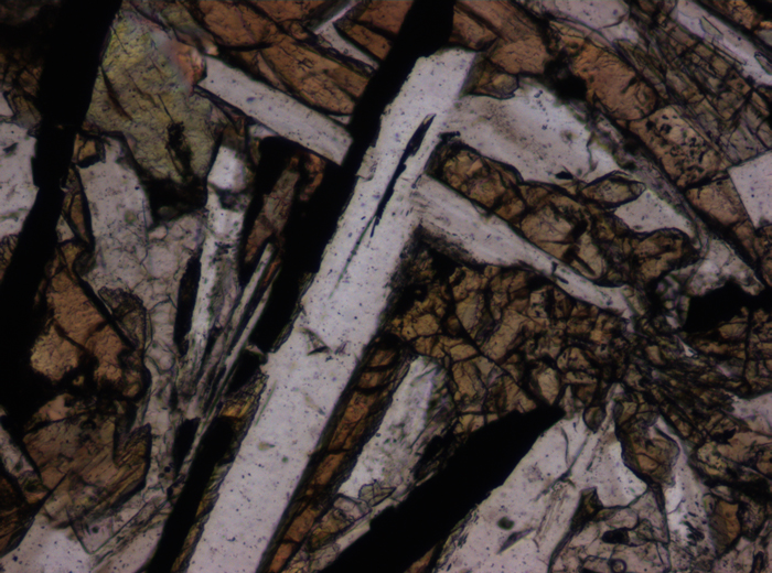Thin Section Photograph of Apollo 12 Sample 12055,7 in Plane-Polarized Light at 10x Magnification and 0.7 mm Field of View (View #5)
